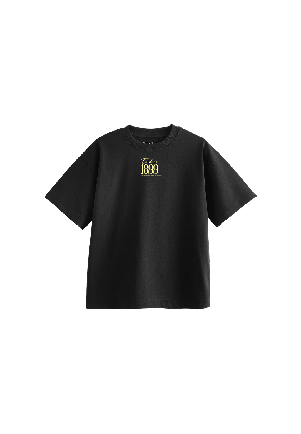 Pavel Nedvěd T-shirt