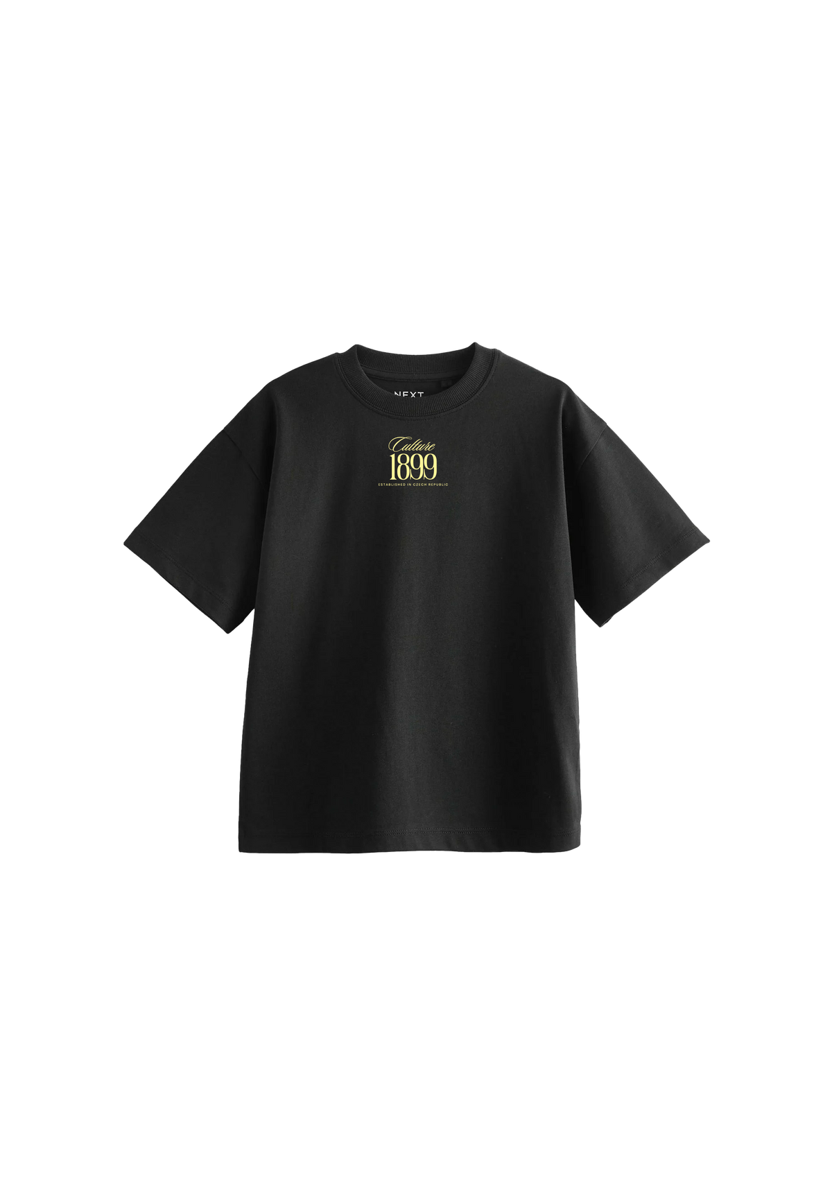 Pavel Nedvěd T-shirt